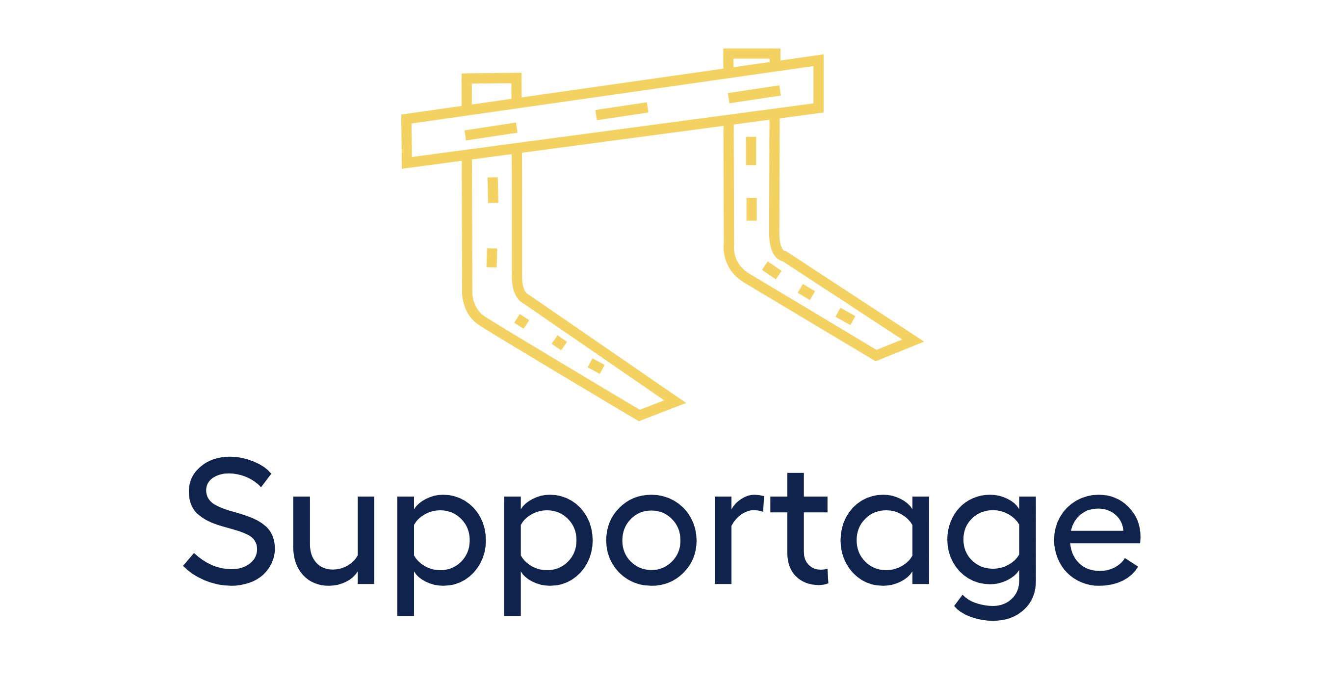 logo_vp